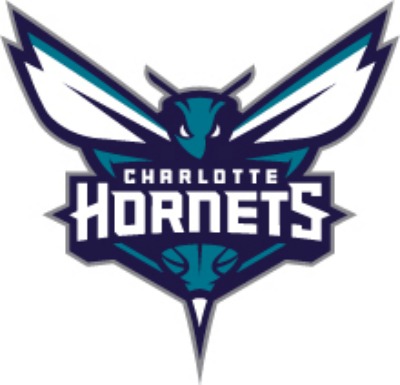 Fundraiser: Bid on Hornets v Pistons Suite Tickets